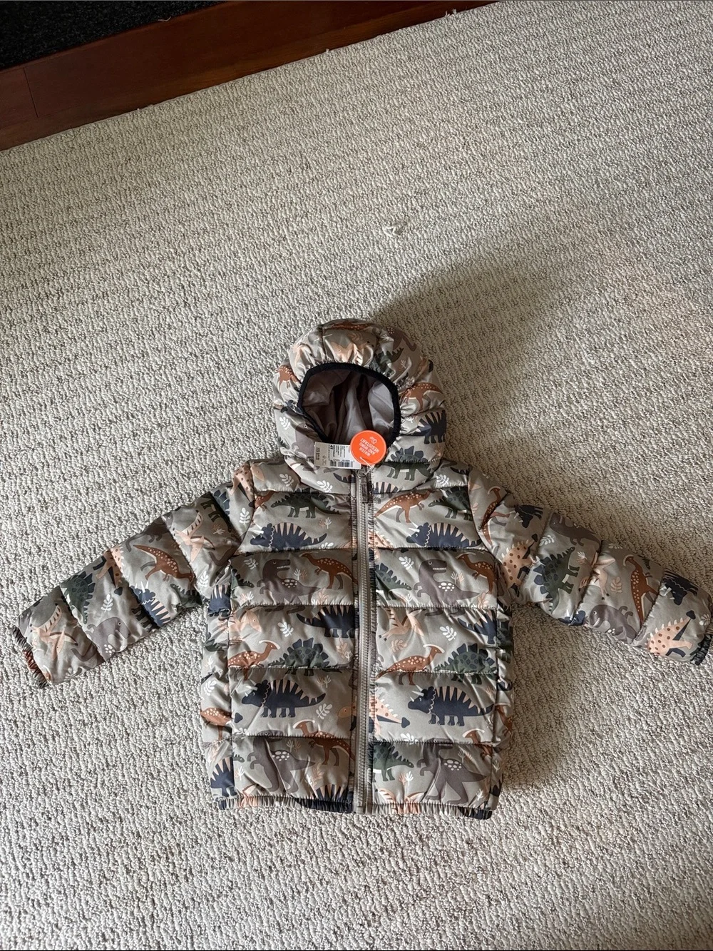 The Childrens Place puffer jacket
